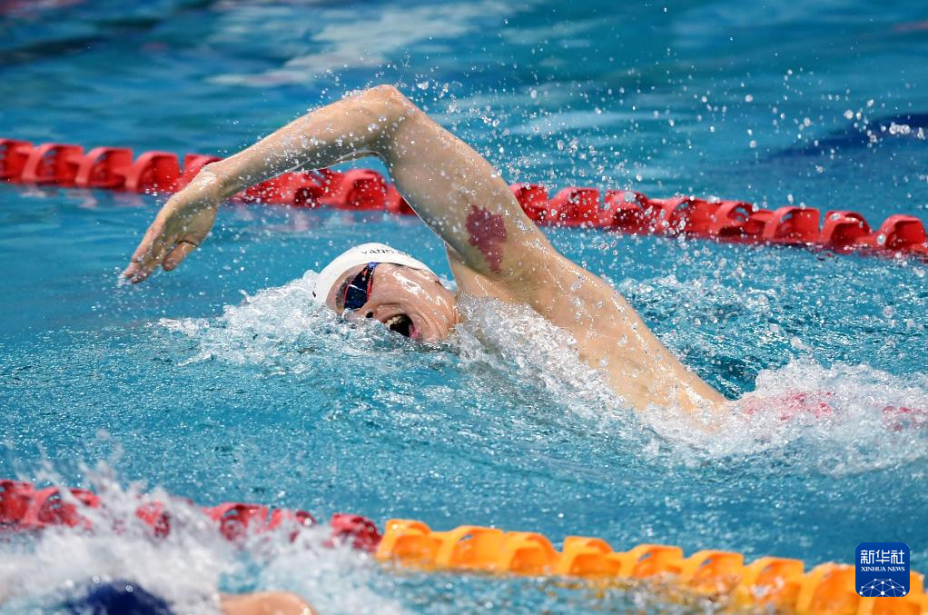 南非游泳选手在自由泳比赛中创造新纪录的简单介绍