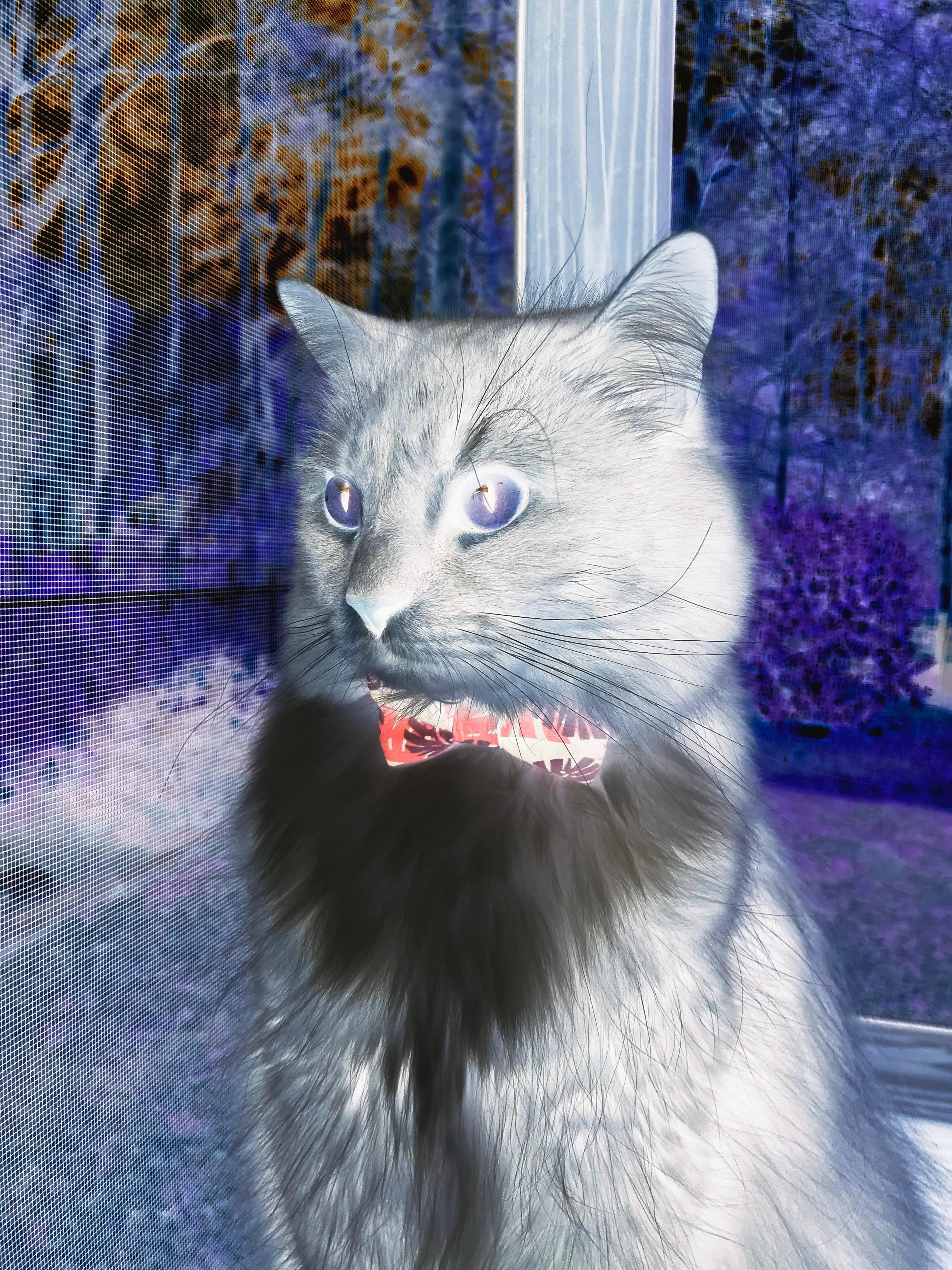 开云体育在线-西决生死战，布伦森接管比赛，掘金碾压奇才